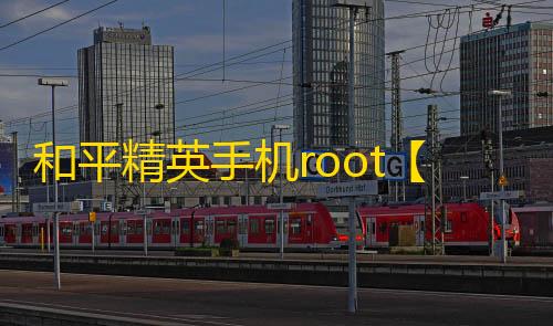 和平精英手机root【初夏内核】科技
